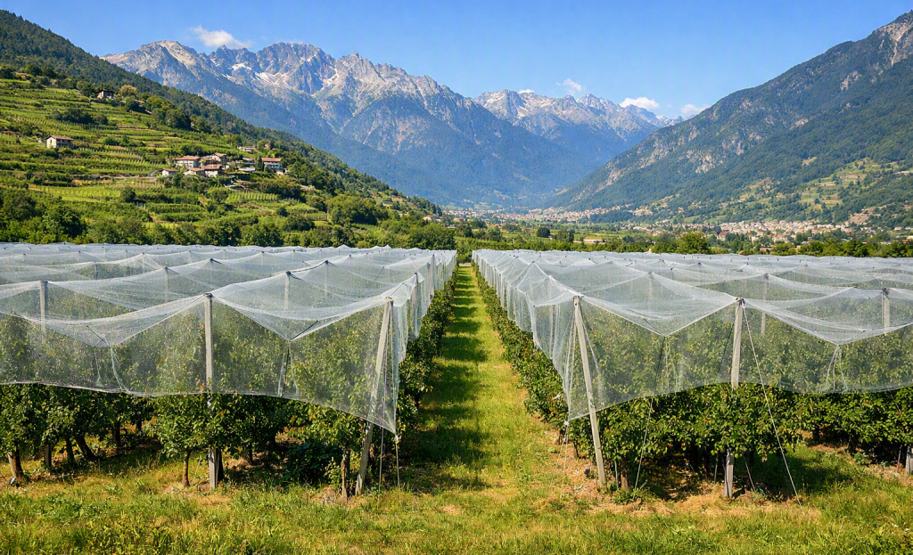 reti antinsetto per protezione coltivazioni lombarde da insetti nocivi fondi per proteggere coltivazioni lombarde da insetti nocivi Fondi per proteggere coltivazioni lombarde da insetti nocivi, quasi 2,8 milioni di euro in arrivo reti antinsetto per protezione coltivazioni lombarde da insetti nocivi 1024x623